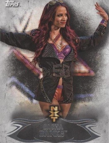 2015 Topps WWE Undisputed - Sasha Banks #NXT 2
