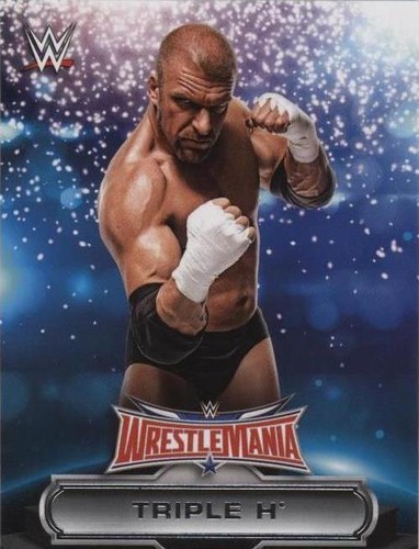 2016 Topps WWE Road to Wrestlemania - Triple H #2