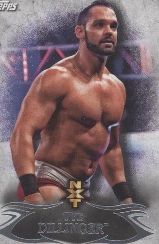2015 Topps WWE Undisputed - Tye Dillinger #NXT 18