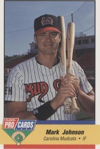 1994 Fleer ProCards Minor League - Mark Johnson #1585