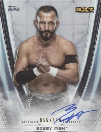 2020 Topps WWE Undisputed - Bobby Fish #A-BF