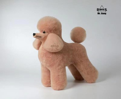Mr. Jiang Poodle Lamb Clip Full Body Coat / Model Dog [Champagne]  Dog Pet Groom
