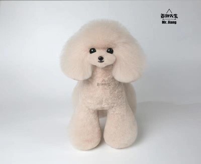 Mr. Jiang Teddy Bear Full Body Coat / Model Dog [Milk Tea]  Dog Pet Grooming