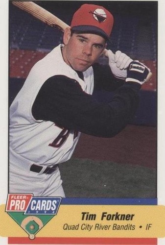 1994 Fleer ProCards Minor League - Tim Forkner #541