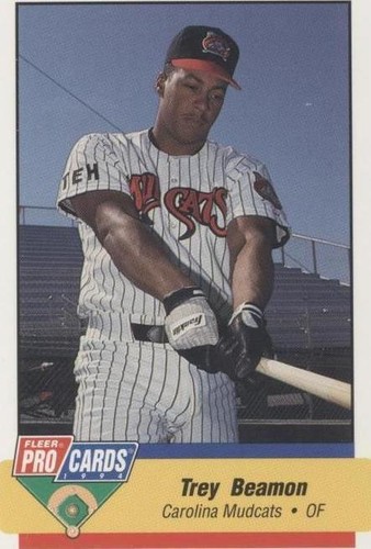 1994 Fleer ProCards Minor League - Trey Beamon #1591