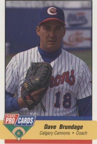 1994 Fleer ProCards Minor League - Dave Brundage #805