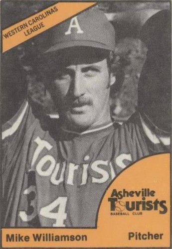1977 TCMA Minor League - Mike Williamson #0029