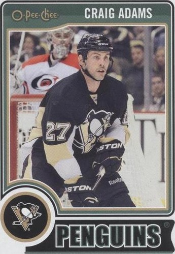 2014-15 O-Pee-Chee - Craig Adams #320