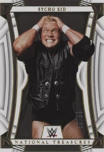 25years of the fighting men’s chronicle X-PAC 2023 Panini Chronicles /25 Mojo #347 WWE Honors ID
