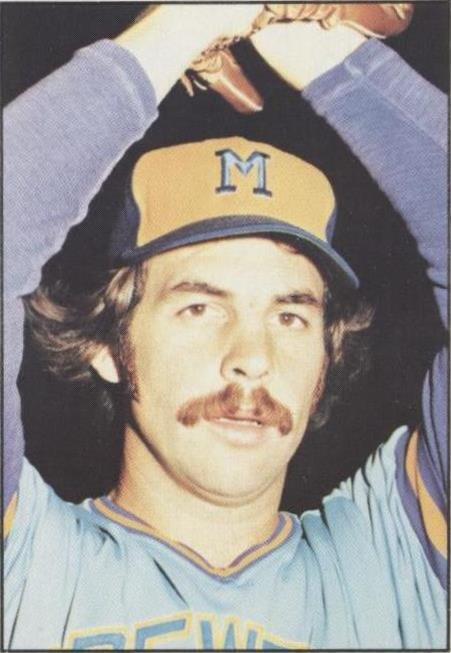 1976 SSPC - Larry Anderson #249