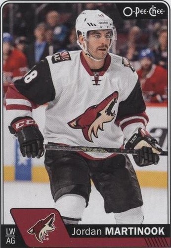 2016-17 O-Pee-Chee - Jordan Martinook #241