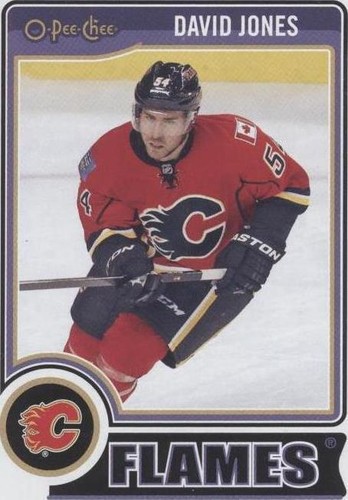 2014-15 O-Pee-Chee - David Jones #425