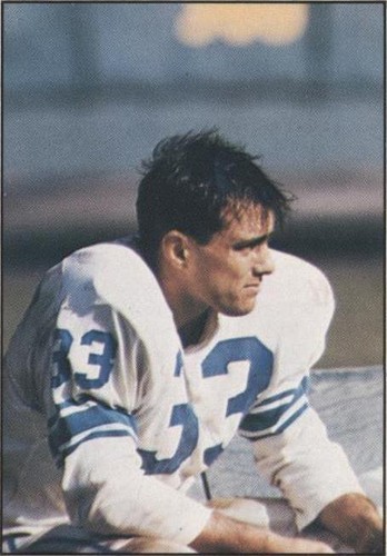 1981 TCMA Greats Nick Pietrosante #16