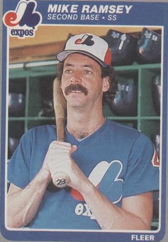 1985 Fleer - Mike Ramsey #406