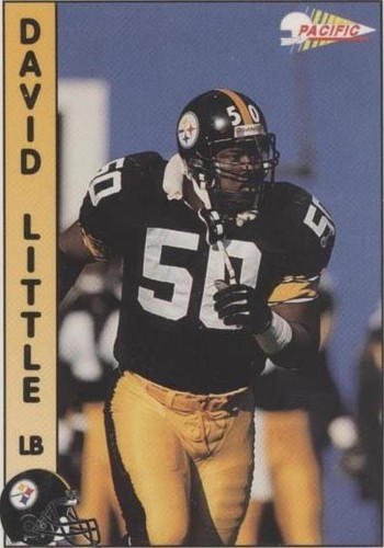 1992 Pacific David Little #592