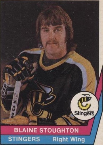 1977-78 O-Pee-Chee WHA - Blaine Stoughton #6