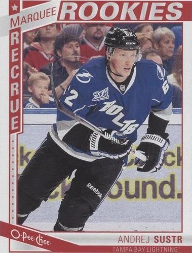 2013-14 O-Pee-Chee - Andrej Sustr #567