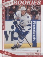 2013-14 O-Pee-Chee - Richard Panik #577