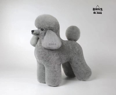 Mr. Jiang Poodle Lamb Clip Full Body Coat / Model Dog [Grey]  Dog Pet Grooming