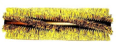 Tennant 54925 Main Broom Brush 45