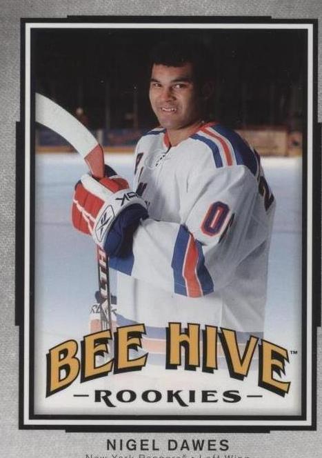 2006-07 Upper Deck Bee Hive - Nigel Dawes #136
