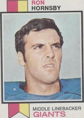 1973 Topps Ron Hornsby #256