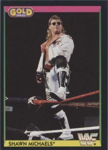 Shawn Michaels WWF 1997 Vintage Wrestling Poster – 16x20 Inches – New Old Stock Sealed 10 thumbnail image