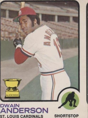 1973 O-Pee-Chee - Dwain Anderson #241