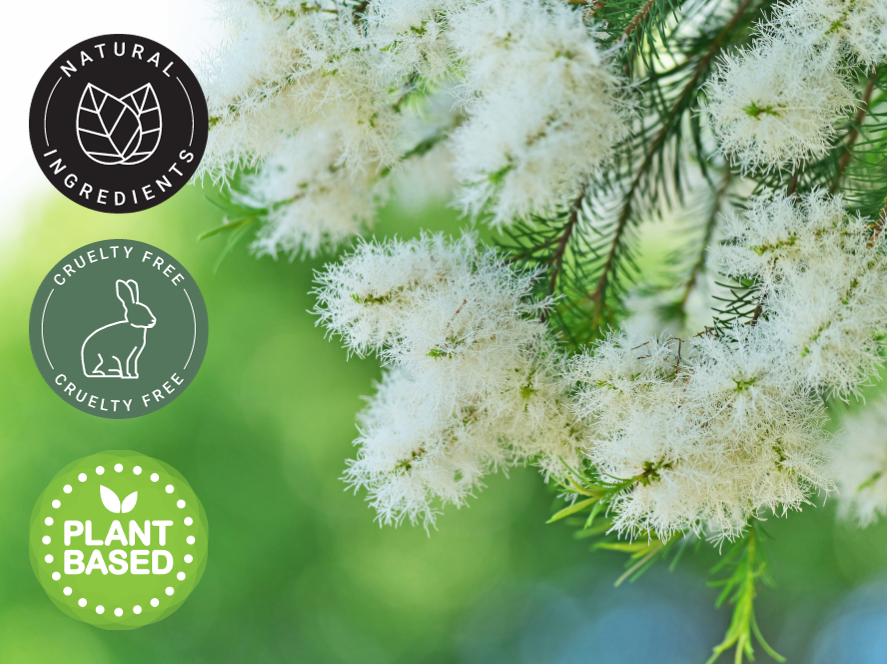 10 ml Tea Tree Essential Oil (100% Pure & Natural) - GreenHealth