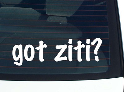 got ziti? CAR DECAL BUMPER STICKER VINYL FUNNY JOKE WINDOW
