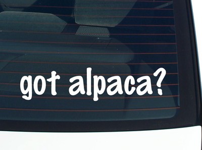 got alpaca? CAR DECAL BUMPER STICKER VINYL FUNNY JOKE WINDOW