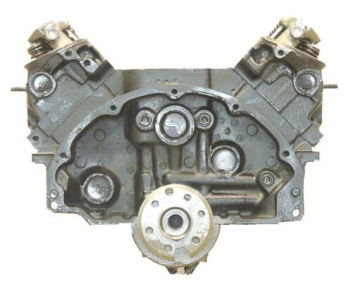 大割引 Kawasaki ST SS, 750 12022-3703, OEM: 1992-2010, Set, Reed 洋書