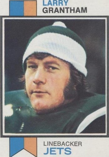 1973 Topps Larry Grantham #74