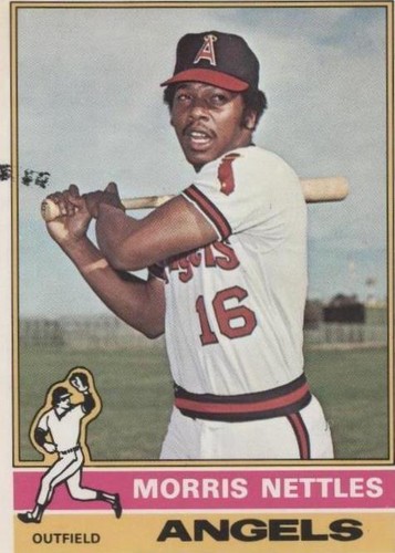 1976 O-Pee-Chee - Morris Nettles #434