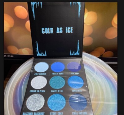BH Cosmetics ~ Sub-Zero Poisonshock Eyeshadow Palette ~ NEW