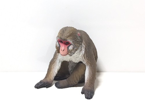 Japanese monkey様 $_12.JPG?set_id=880000500F