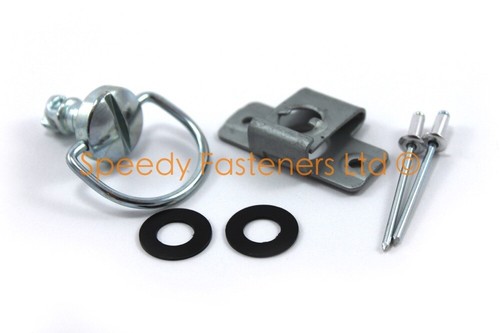 Pasalidognathus modestus　69mm 62mm Psalidognathus modestus - Wikipedia