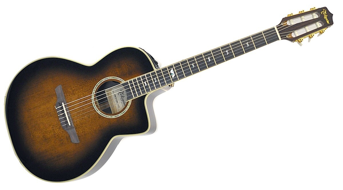 Takamine アコースティックギター ブラウン 6弦 Takamine アコースティックギター ブラウン 6弦 Amazon.com