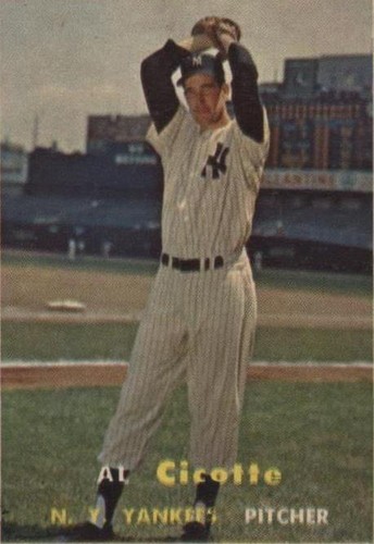 ユイチェ　アルベルト Industrial Vbelt V-Belt fits Dixie Chopper # 20256: Amazon