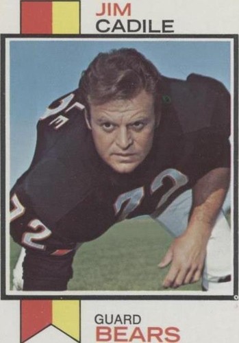 1973 Topps Jim Cadile #353