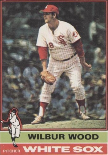 1976 O-Pee-Chee - Wilbur Wood #368