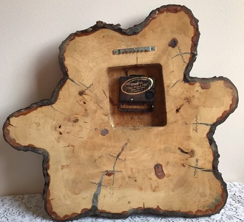 Rustic Log Cabin Scene Cedar Wood Slab Raw Edge Lacquered Wall Clock Florida