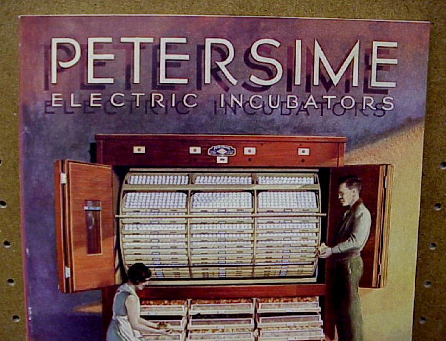 Vintage 1930's Petersime Electric Incubators Complete Catalog - New Old Stock
