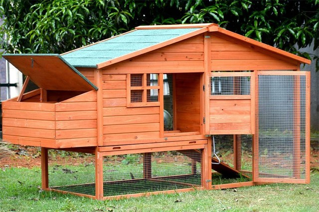 X-LARGE Chicken Coop For up to 6 Chickens CH033 | Pet ...