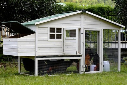  chicken coop in Melbourne Region VIC Pet Products 
