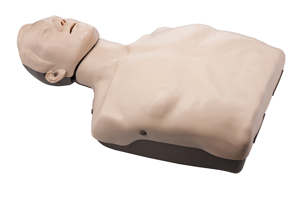 Brayden Manikin Basic HLWPuppe Reanimationspuppe CPR