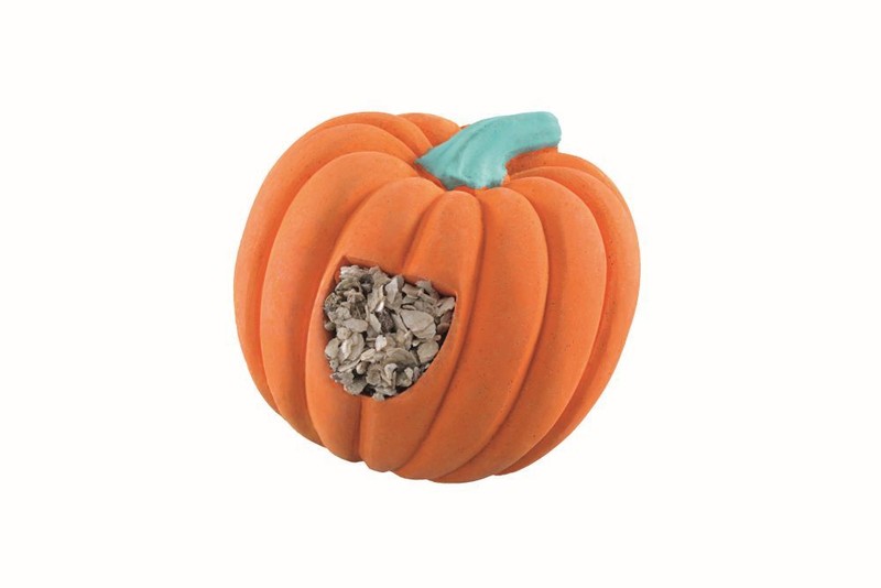 Mineralblock KÃ¼Rbis 130g Vogel Mineralstein Pickstein Wetzstein Vogelgrit