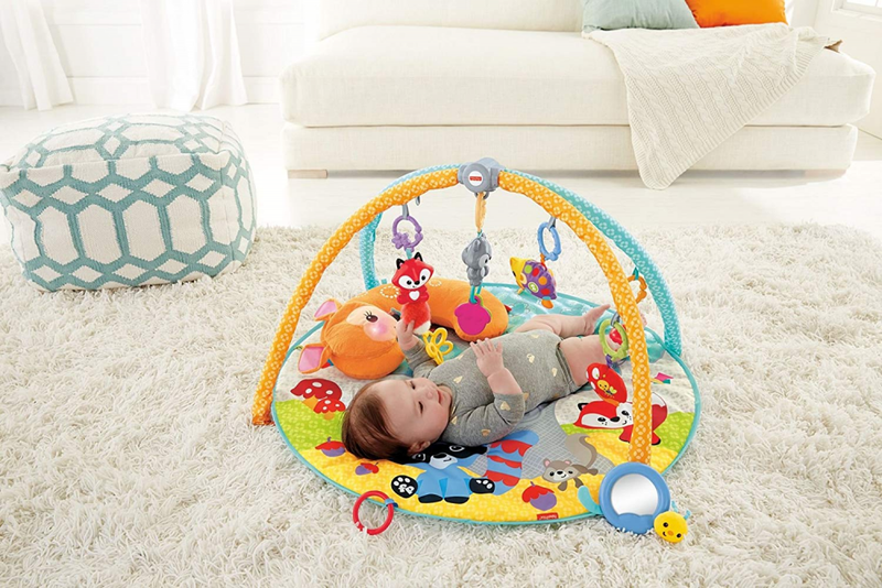 Fisher-Price Moonlight Meadow Deluxe Play Gym