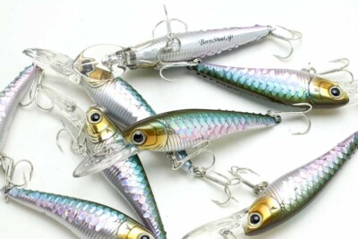LUCKY CRAFT JAPAN Bevy Shad 60SP - 0147 MS Wakasagi (1qy) ~JDM~ 