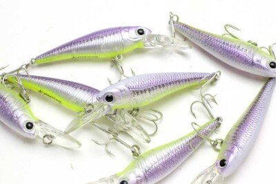 LUCKY CRAFT JAPAN Bevy Shad 50SP - 2342 Real Purple Chart Wakasagi (1qy) ~JDM~